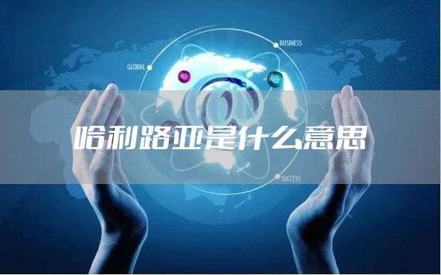 哈利路亚是什么意思
