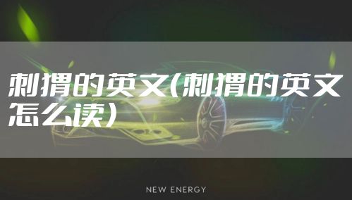 刺猬的英文（刺猬的英文怎么读）
