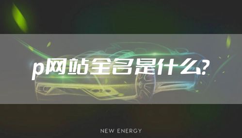 p网站全名是什么？