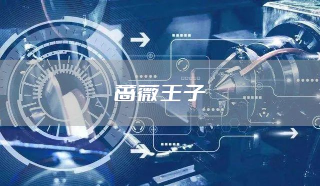 蔷薇王子