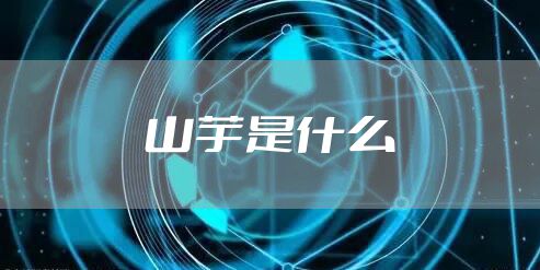 山芋是什么
