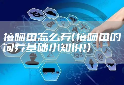 接吻鱼怎么养（接吻鱼的饲养基础小知识!）