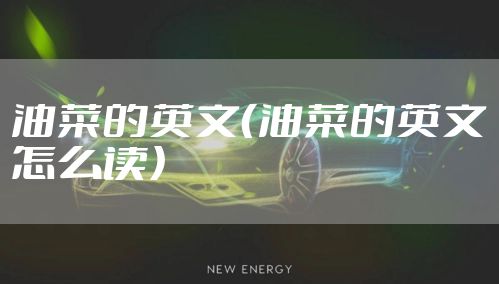 油菜的英文（油菜的英文怎么读）