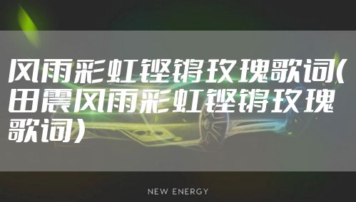 风雨彩虹铿锵玫瑰歌词（田震风雨彩虹铿锵玫瑰歌词）
