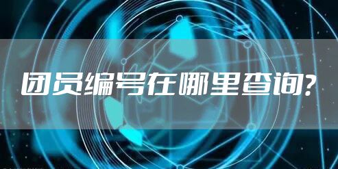 团员编号在哪里查询？