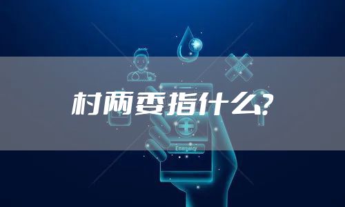村两委指什么？