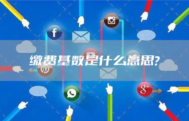 缴费基数是什么意思？