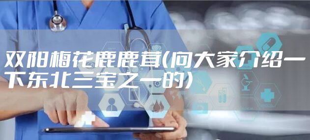 双阳梅花鹿鹿茸（向大家介绍一下东北三宝之一的）