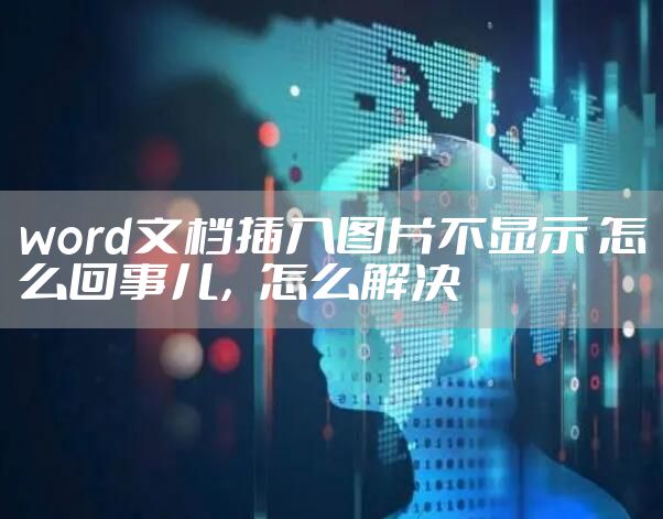 word文档插入图片不显示 怎么回事儿，怎么解决
