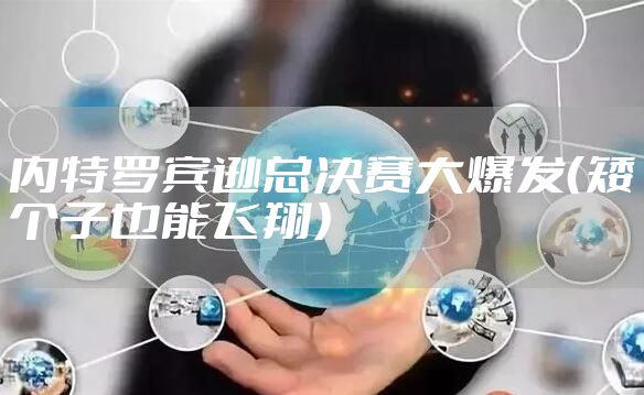 内特罗宾逊总决赛大爆发（矮个子也能飞翔）
