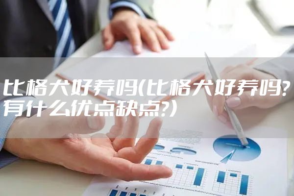 比格犬好养吗（比格犬好养吗?有什么优点缺点?）