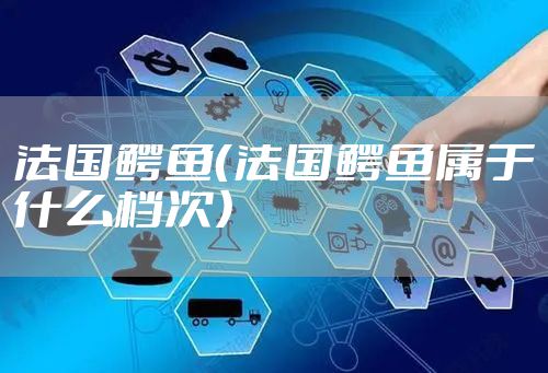 法国鳄鱼（法国鳄鱼属于什么档次）