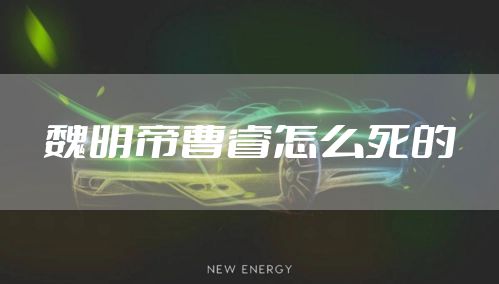 魏明帝曹睿怎么死的