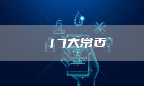 17大常委