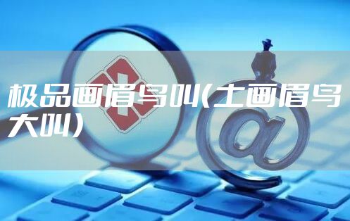 极品画眉鸟叫（土画眉鸟大叫）