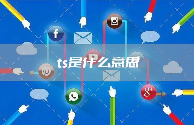 ts是什么意思