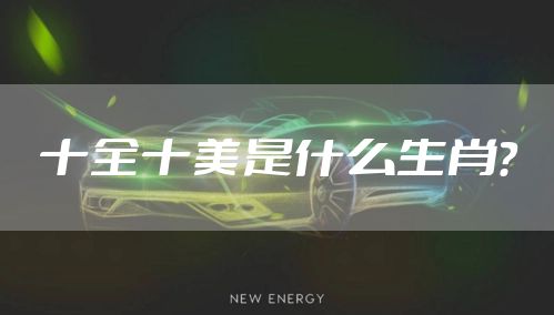 十全十美是什么生肖？