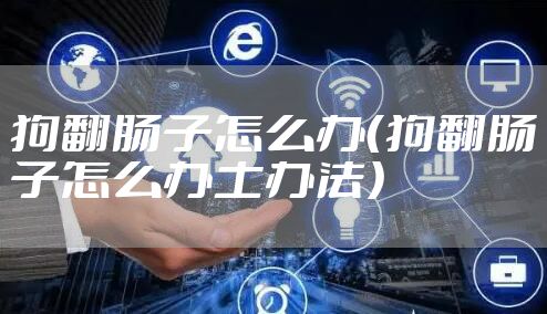 狗翻肠子怎么办（狗翻肠子怎么办土办法）