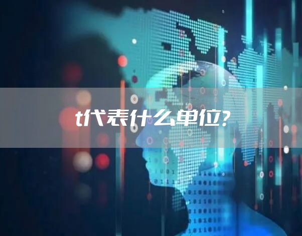 t代表什么单位？