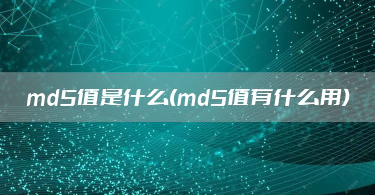 md5值是什么(md5值有什么用)