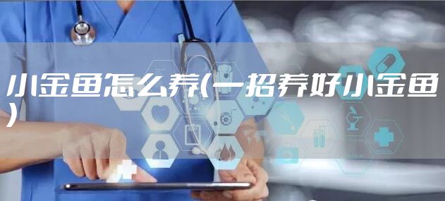 小金鱼怎么养（一招养好小金鱼）