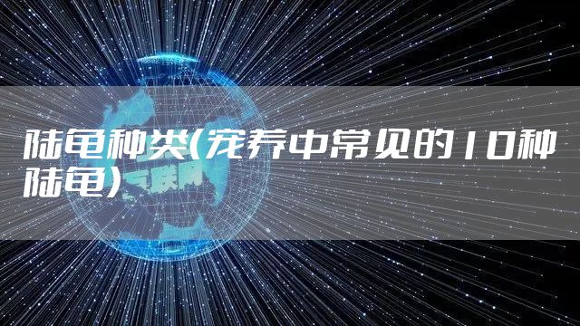 陆龟种类（宠养中常见的10种陆龟）