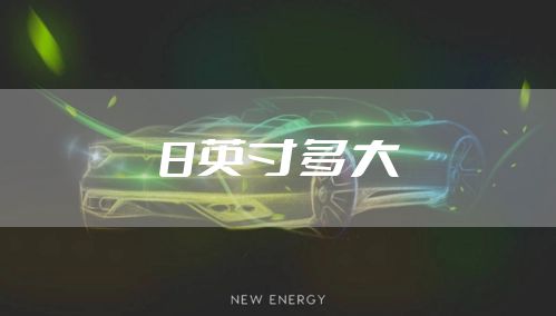 8英寸多大