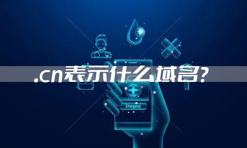 .cn表示什么域名？
