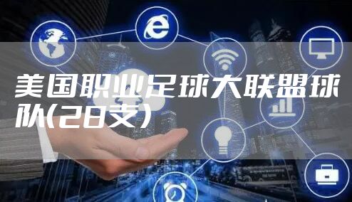 美国职业足球大联盟球队（28支）