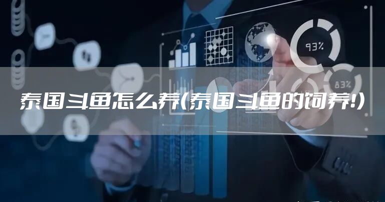 泰国斗鱼怎么养（泰国斗鱼的饲养！）