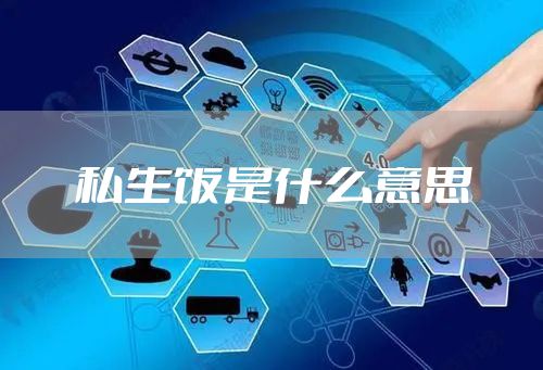 私生饭是什么意思