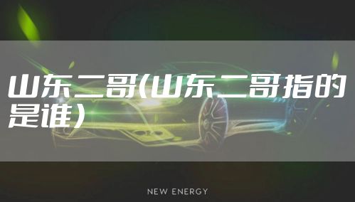 山东二哥（山东二哥指的是谁）