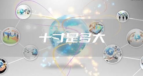 十寸是多大