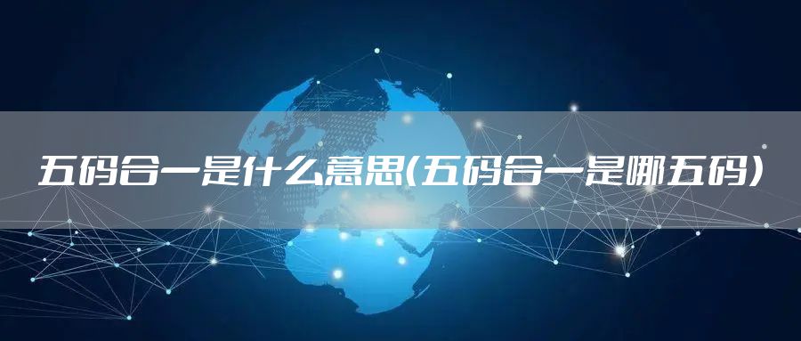 五码合一是什么意思（五码合一是哪五码）