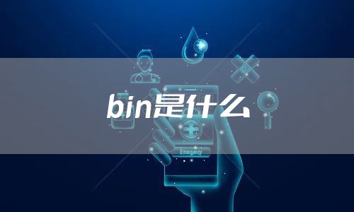 bin是什么
