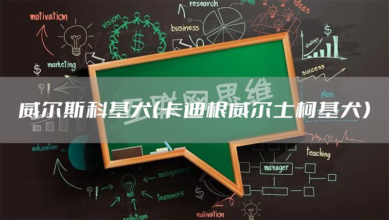 威尔斯科基犬（卡迪根威尔士柯基犬）