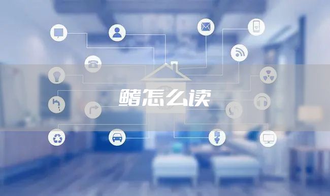 鳍怎么读