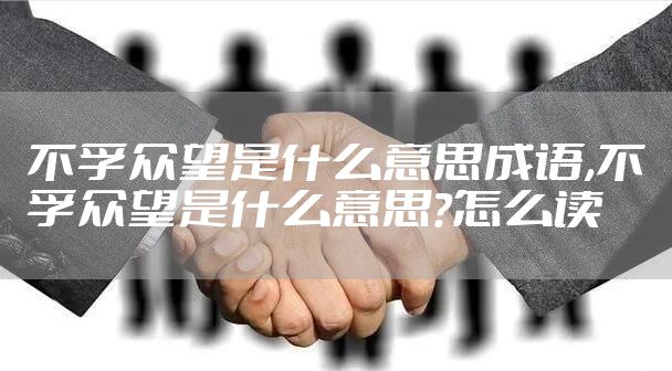 不孚众望是什么意思成语,不孚众望是什么意思?怎么读