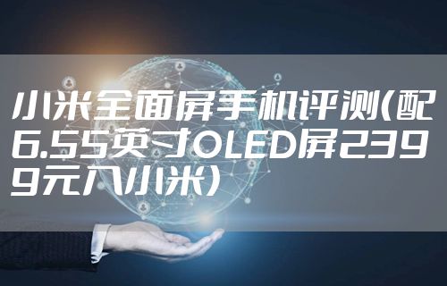 小米全面屏手机评测（配6.55英寸OLED屏2399元入小米）