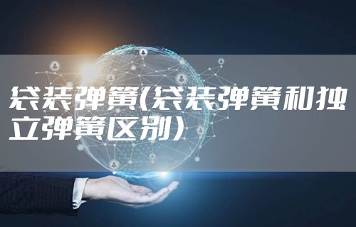 袋装弹簧（袋装弹簧和独立弹簧区别）