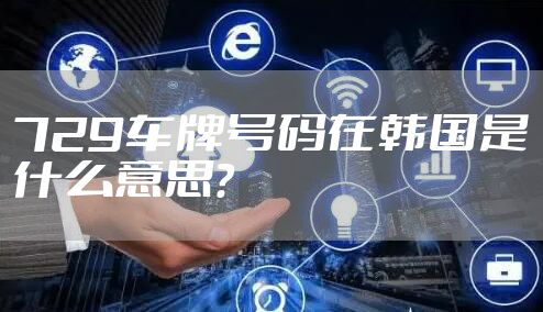 729车牌号码在韩国是什么意思？