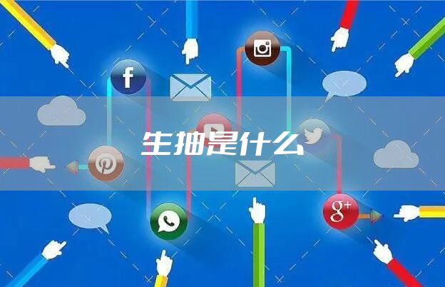 生抽是什么