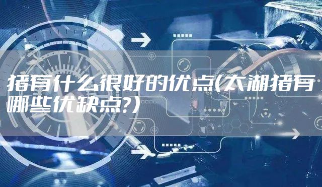 猪有什么很好的优点（太湖猪有哪些优缺点？）