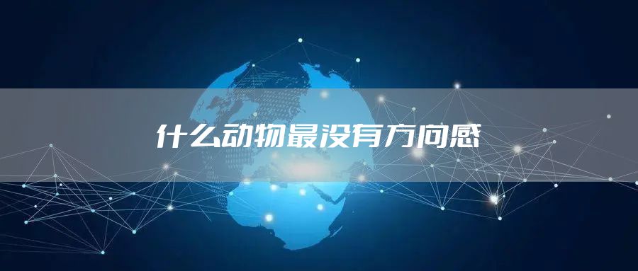 什么动物最没有方向感