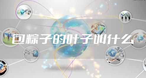 包粽子的叶子叫什么