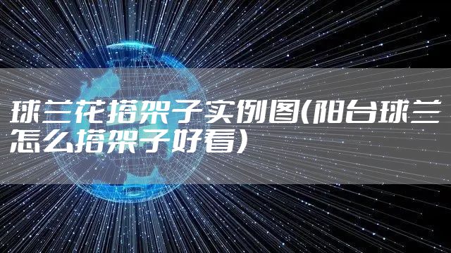 球兰花搭架子实例图（阳台球兰怎么搭架子好看）