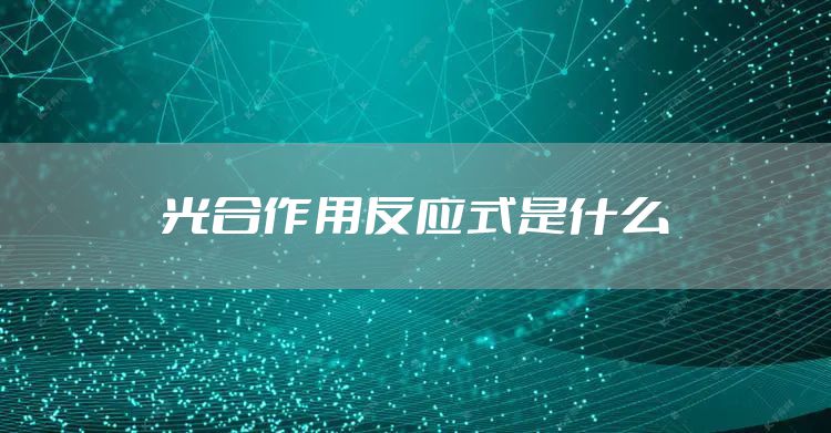 光合作用反应式是什么