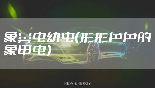 象鼻虫幼虫（形形色色的象甲虫）
