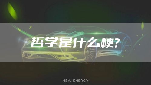 哲学是什么梗？