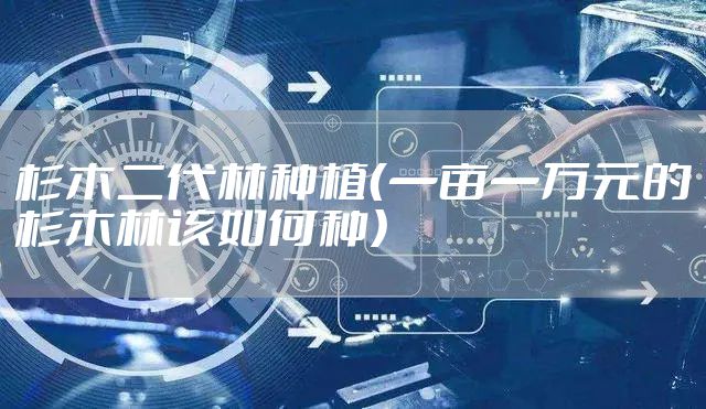 杉木二代林种植（一亩一万元的杉木林该如何种）